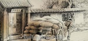 手绘速写花卉 速写画花先画心还是先画花瓣？