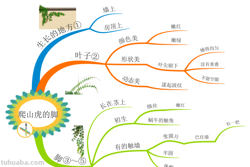 部编版语文四（上）全册课文思维导图