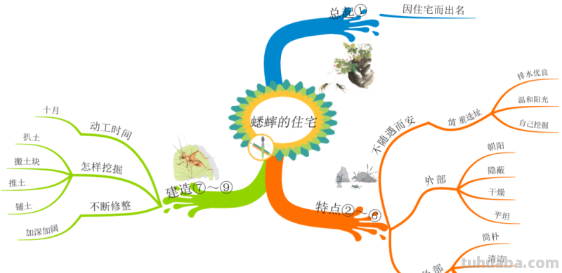 部编版语文四（上）全册课文思维导图