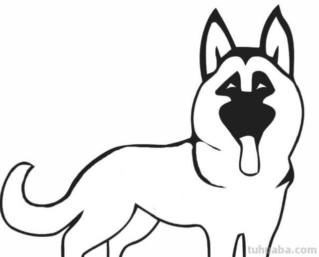 大狼怎么画简笔画图片 大灰狼简笔画怎么画？