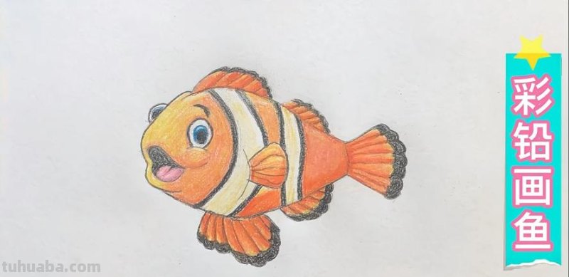怎么画彩铅小丑鱼 小丑鱼怎么形容画?