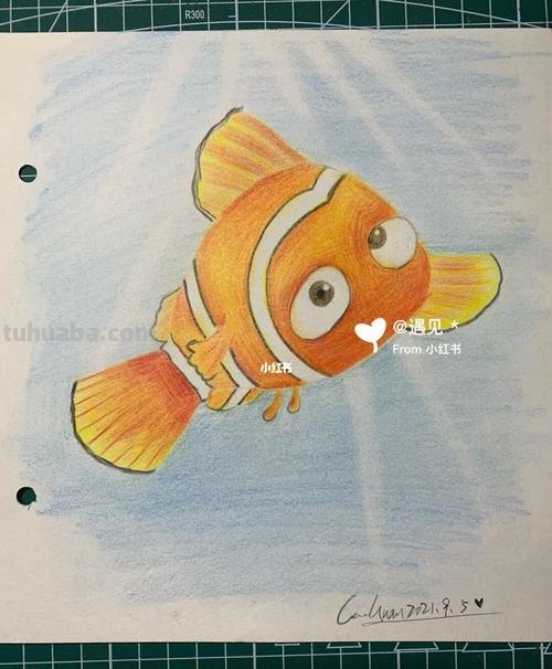 怎么画彩铅小丑鱼 小丑鱼怎么形容画?