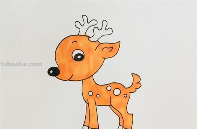 怎么画梅花鹿的简笔画 如何画一个简单的可爱的小梅花鹿?