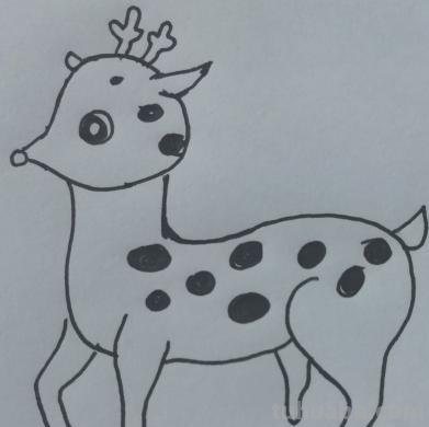 怎么画梅花鹿的简笔画 如何画一个简单的可爱的小梅花鹿？