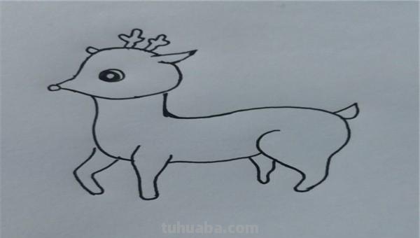 怎么画梅花鹿的简笔画 如何画一个简单的可爱的小梅花鹿？