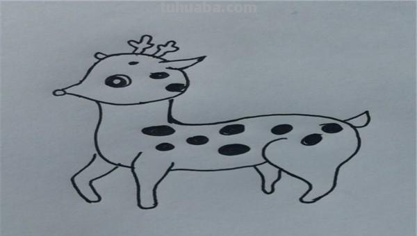 怎么画梅花鹿的简笔画 如何画一个简单的可爱的小梅花鹿？