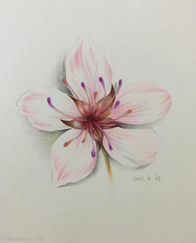 水溶性彩铅怎么画动漫 水溶性彩铅怎样作画？