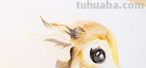 水溶性彩铅怎么画动漫 水溶性彩铅怎样作画？