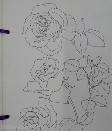 月季花的简笔画怎么画 简笔画月季花的画法?