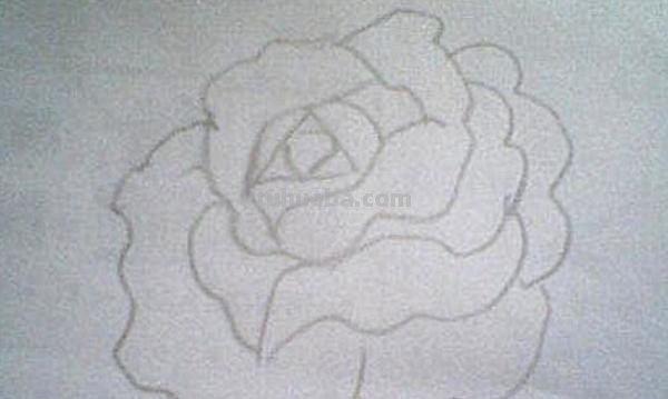 月季花的简笔画怎么画 简笔画月季花的画法？