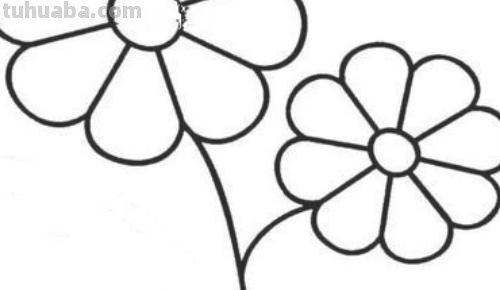 月季花的简笔画怎么画 简笔画月季花的画法？
