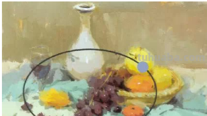 色彩静物怎么构图