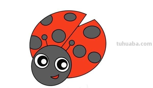 七星瓢虫怎么画简笔画 一年级七星瓢虫的花衣裳简单画最简单?