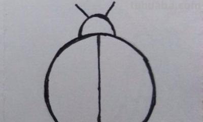 七星瓢虫怎么画简笔画 一年级七星瓢虫的花衣裳简单画最简单？