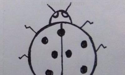 七星瓢虫怎么画简笔画 一年级七星瓢虫的花衣裳简单画最简单？