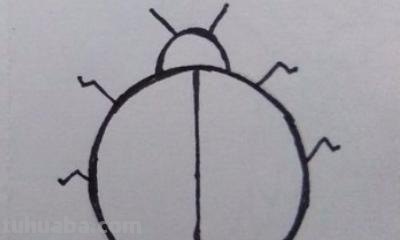 七星瓢虫怎么画简笔画 一年级七星瓢虫的花衣裳简单画最简单？