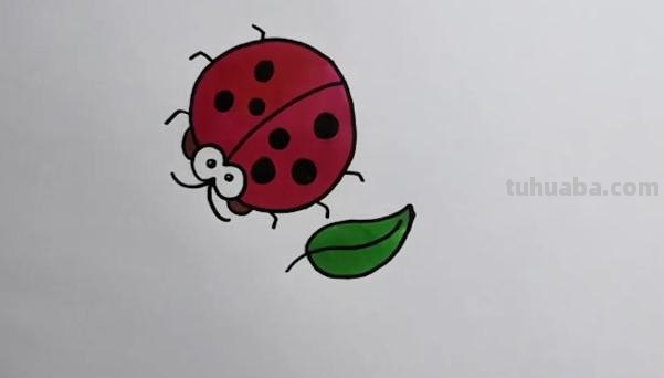七星瓢虫怎么画简笔画 一年级七星瓢虫的花衣裳简单画最简单？