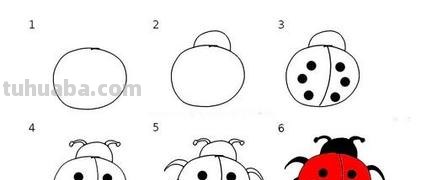 七星瓢虫怎么画简笔画 一年级七星瓢虫的花衣裳简单画最简单？
