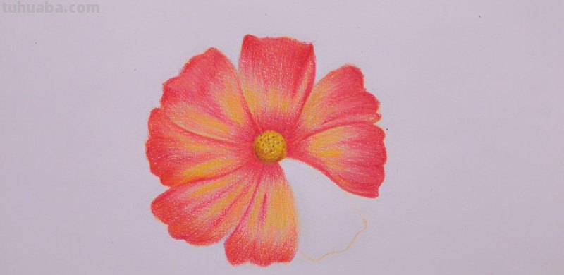 红色的彩铅怎么画桃花 花的彩铅画?