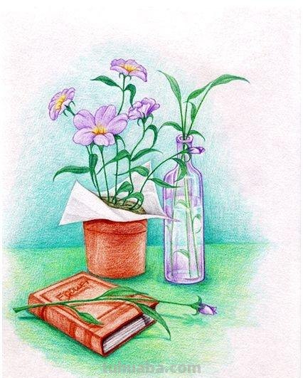 红色的彩铅怎么画桃花 花的彩铅画？