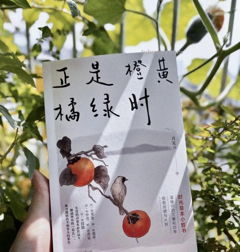 书籍推荐 -《正是橙黄橘绿时》