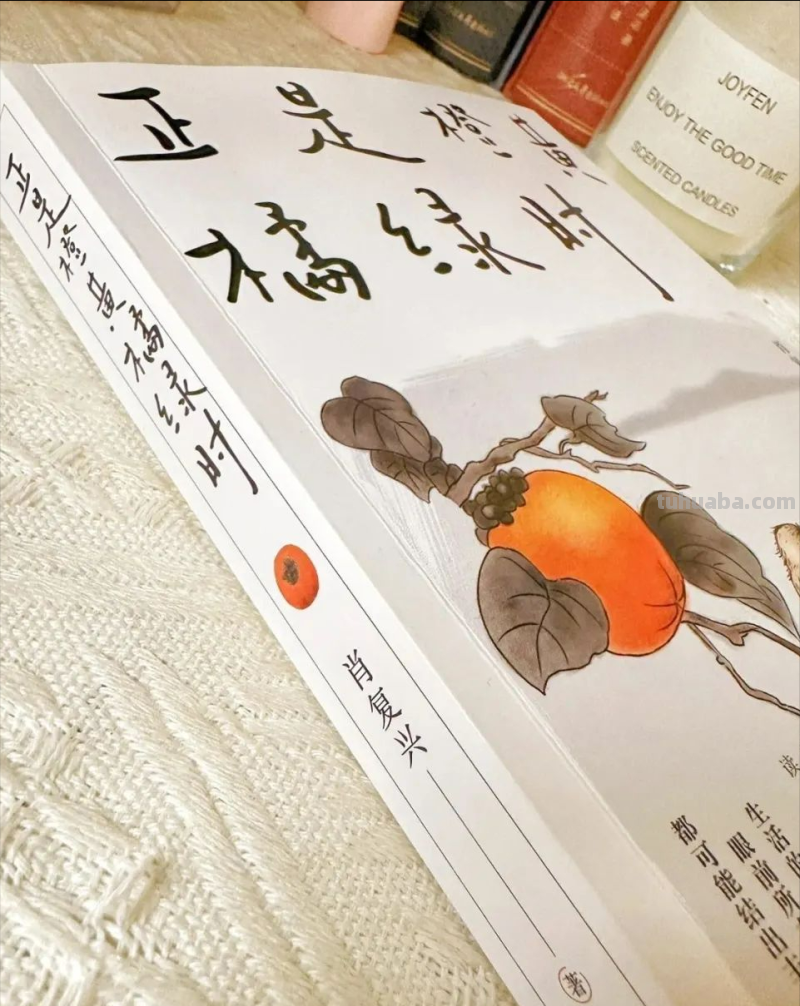 书籍推荐 -《正是橙黄橘绿时》