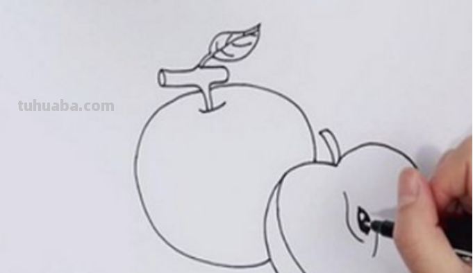 苹果怎么画