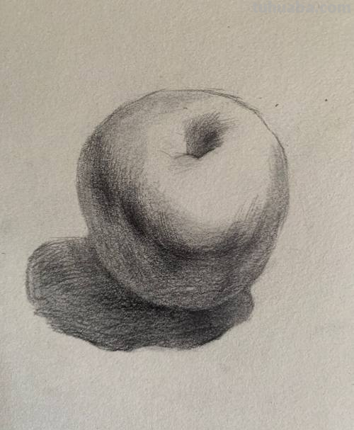 素描画苹果教程