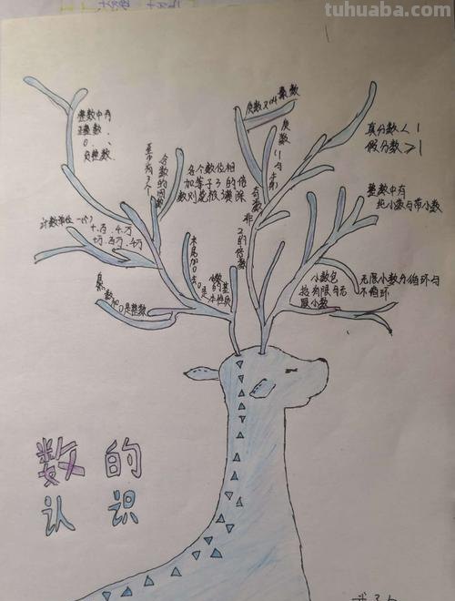 漂亮的思维导图怎么画 思维导图怎么画好看?