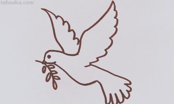 和平鸽的简笔画怎么画 鸽子图案绘画?