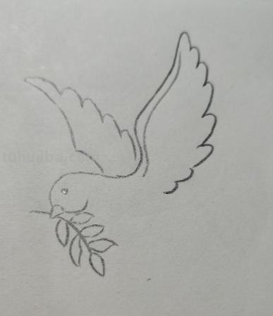 和平鸽的简笔画怎么画 鸽子图案绘画？