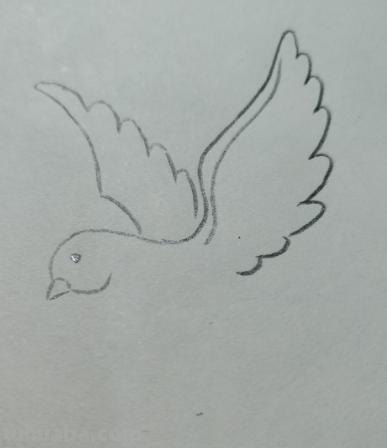 和平鸽的简笔画怎么画 鸽子图案绘画？