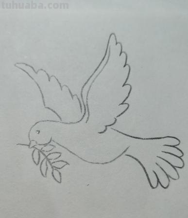 和平鸽的简笔画怎么画 鸽子图案绘画？