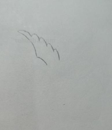 和平鸽的简笔画怎么画 鸽子图案绘画？