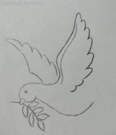 和平鸽的简笔画怎么画 鸽子图案绘画？