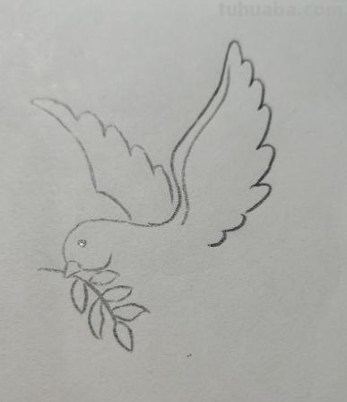 和平鸽的简笔画怎么画 鸽子图案绘画？