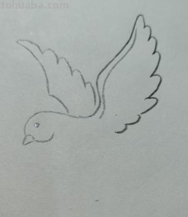 和平鸽的简笔画怎么画 鸽子图案绘画？