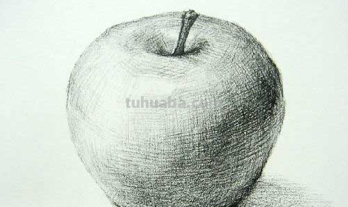 素描苹果怎么画?