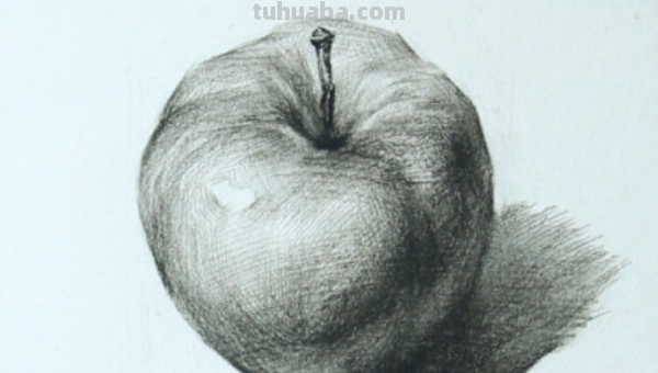 素描苹果怎么画?