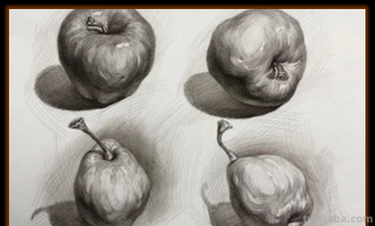 素描怎么画苹果