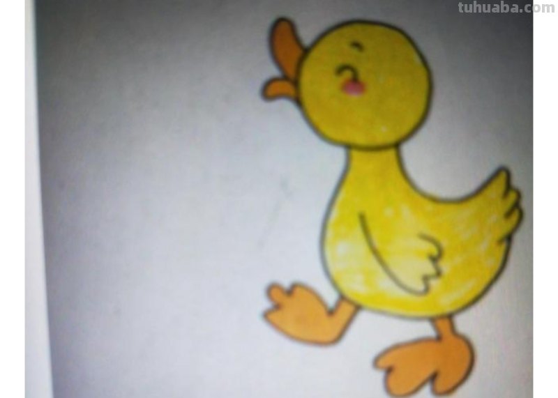 小鸭子的简笔画怎么画 怎样画鸭子-小鸭子的画法-小鸭子简笔画？