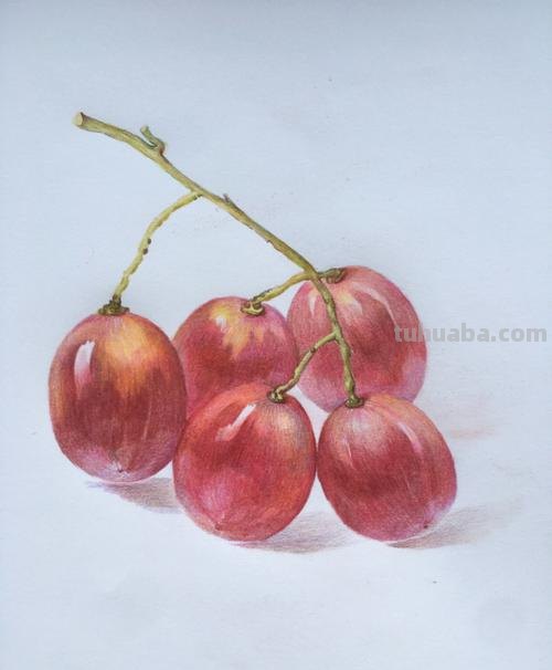 用彩铅画什么水果最好 彩铅画的最简单的水果?