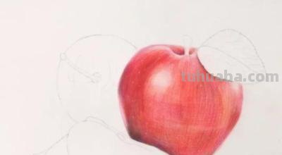 用彩铅画什么水果最好 彩铅画的最简单的水果？