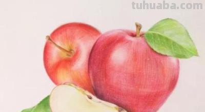 用彩铅画什么水果最好 彩铅画的最简单的水果？