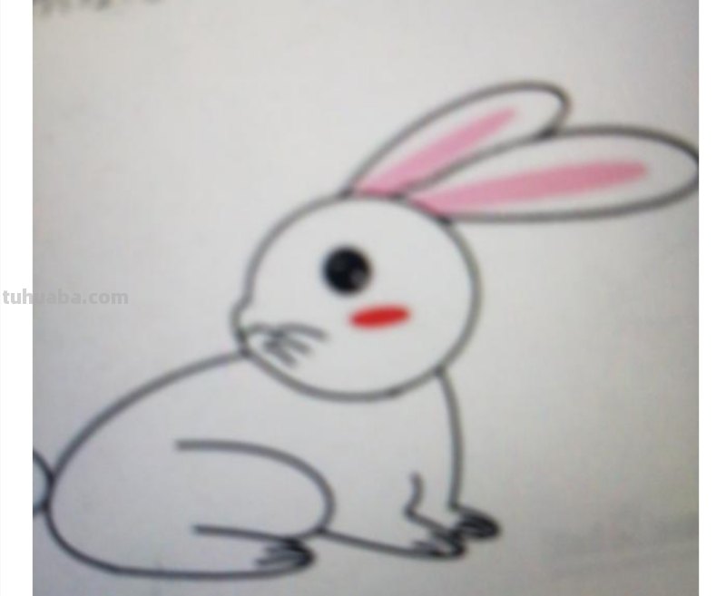 免子怎么画简笔画图片 卡通简笔画：梦游仙境的兔子怎么画？