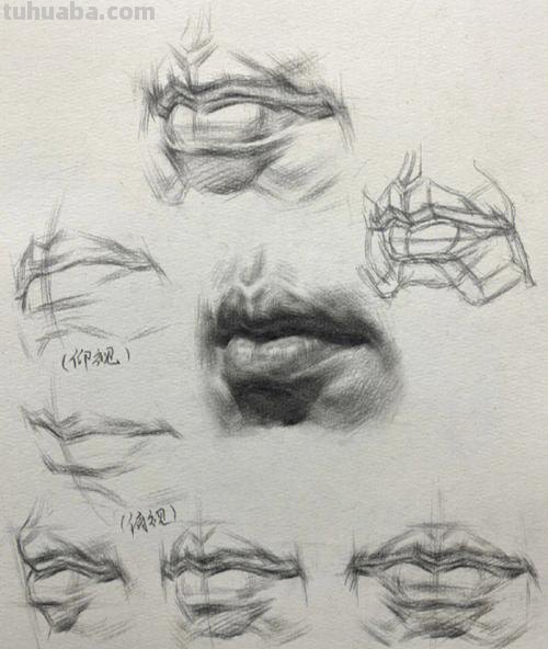素描嘴巴画法 素描嘴巴画法步骤