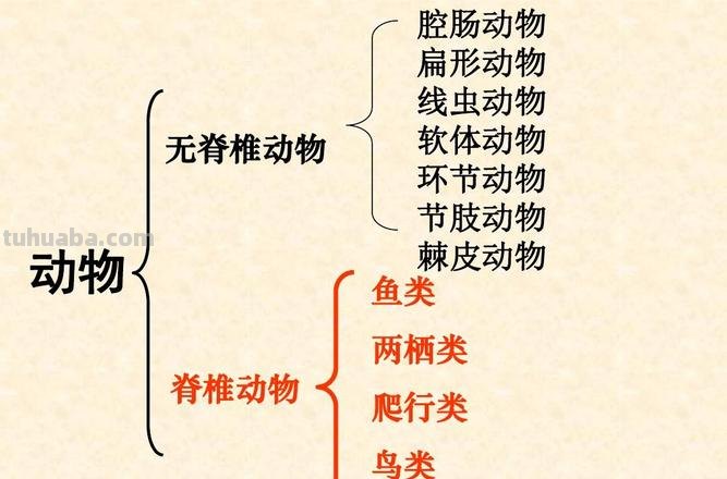 什么动物像大刀思维导图 什么动物象一把刀?