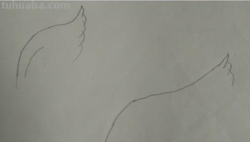 鸟翅膀速写 鸟类素描画？