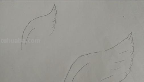 鸟翅膀速写 鸟类素描画？