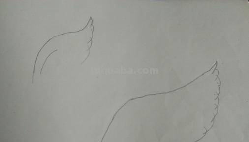 鸟翅膀速写 鸟类素描画？